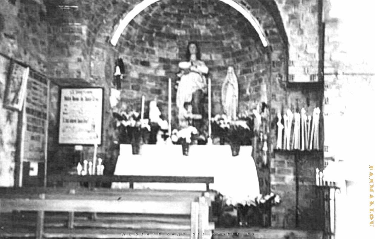 C 097- Santa-Cruz.jpg